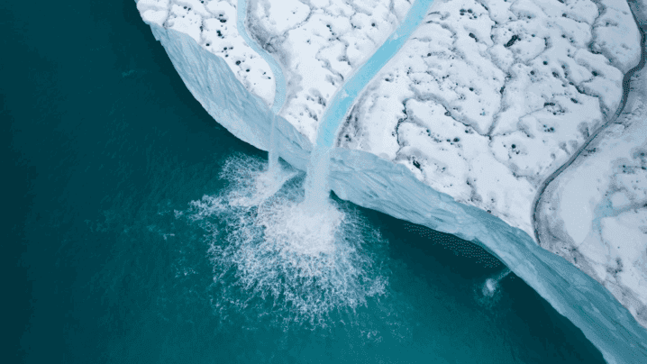 In-depth Svalbard cruise